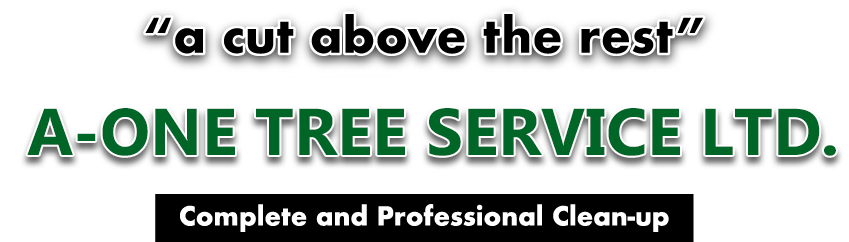 Call A-One Tree Services Today!