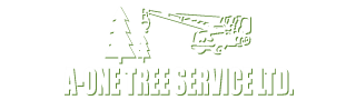 A-ONE Tree Service Ltd.
